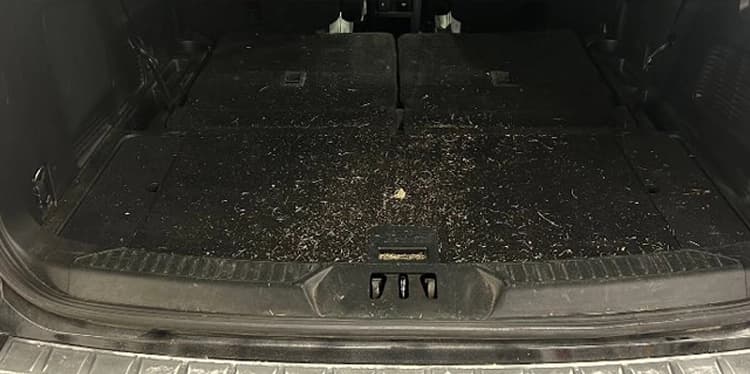 Cargo area — before